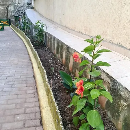 Genti Apartment