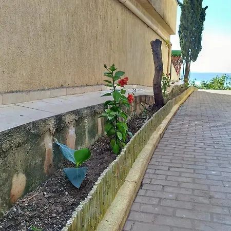 Genti *